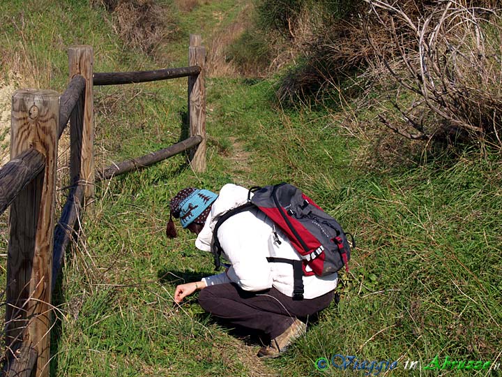22-PC290594+.jpg - 22-PC290594+.jpg - Alessia esamina attentamente, in una fredda giornata di Gennaio 2010, le orme e i ...depositi fecali visibili lungo il percorso del "Sentiero Casale", per l'attività di ricerca e verifica della fauna presente nella Riserva Naturale dei Calanchi di Atri.
