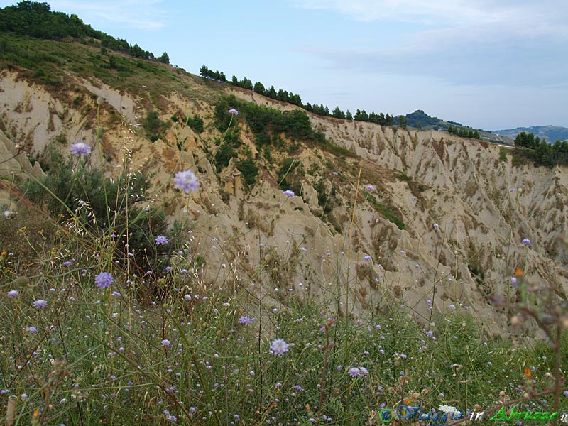 31-P8169143+.jpg
