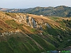 16-P8119354+