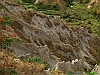 21-P8239446+