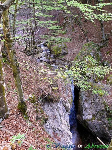 12-P1020787+.jpg - 12-P1020787+.jpg - Un suggestivo angolo della Camosciara.