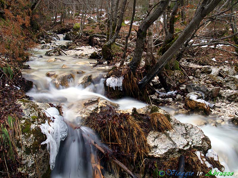 22-P1012267+.jpg - 22-P1012267+.jpg - I colori invernali della Riserva.