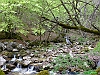 Camosciara-11-P1020777+.jpg