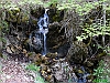 Camosciara-17-P1020779+.jpg