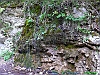 Camosciara-19-P1020766+.jpg