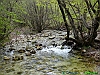 Camosciara-20-P1020758+.jpg