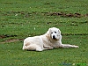 Camosciara 25-P1020799+.jpg