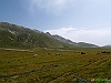 18-P8208829+