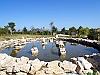 01-P1011793+