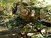 28-P1011934+