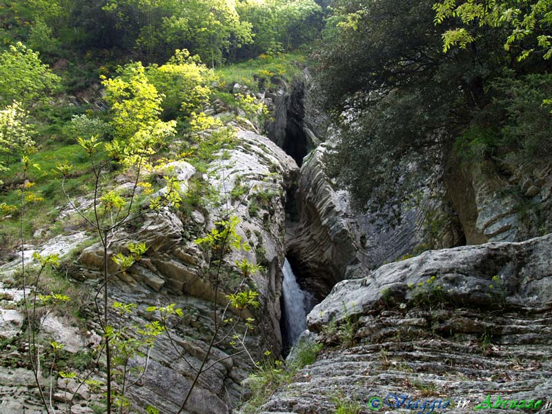 12-P5076610+.jpg