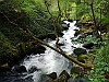 19-P5044322+
