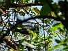 04-P1010700+