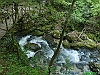 11-P5013941+