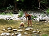 09-P8097026+