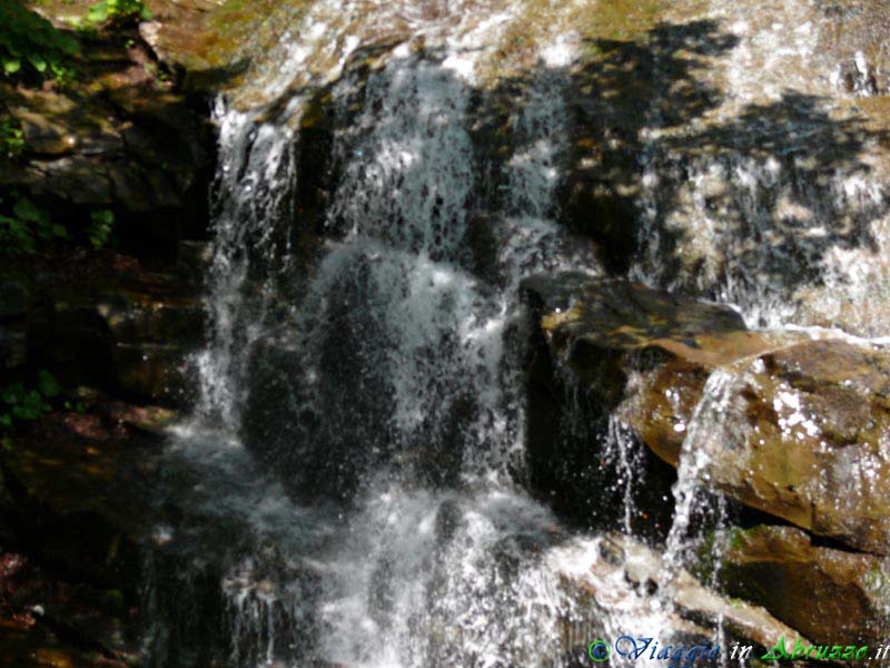 21-P1040686+.jpg