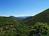 11-P6206163+