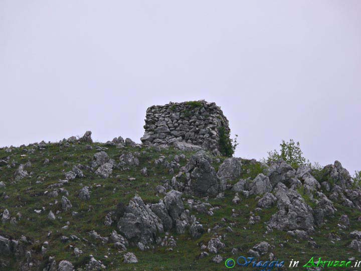 21-P1020913+.jpg