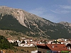 01-P8198736+