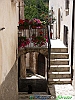 24_P1050265+