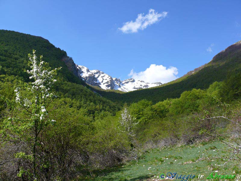 19_P1020828+.jpg - 19_P1020828+.jpg - Uno scorcio del Parco Nazionale d'Abruzzo, Lazio e Molise, il Parco Nazionale più antico d'Italia.
