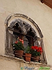 Fontecchio-photogallery/thumbs/33_P5255086+.jpg