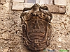 09_P8059209+