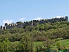 11_P5044163+