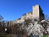 14_P1010013+