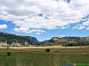 08-P8107229+