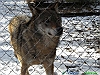 14_DSCN0264+