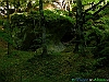 21_P1040077+