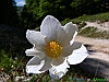 23_P1040054+