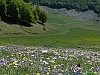 Pescasseroli-photogallery/thumbs/26_P1040060+.jpg
