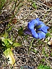 29_P1040082+