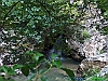 Raiano-photogallery/thumbs/18-HPIM4526+.jpg