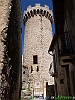 32-P6206042+