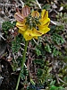 Scanno-photogallery/thumbs/18-P1030097+.jpg