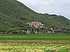 11-P5044291+