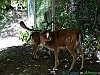 09-P1050683+