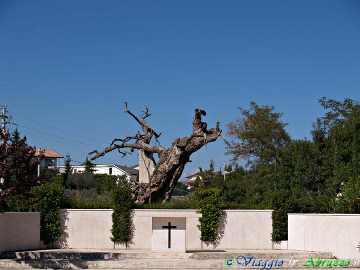 07-P9221497+.jpg - 07-P9221497+.jpg - La quercia secolare, di fronte al Santuario della Madonna dell'Assunta (o della Madonna della Quercia), sulla quale apparve la Vergine.