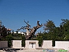 Casacanditella_photogallery/thumbs/07-P9221497+.jpg