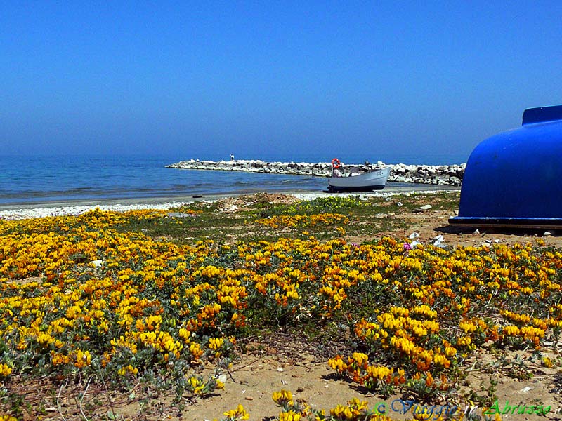 02-P1010908+.jpg - 02-P1010908+.jpg - Lido di Casalbordino, località balneare lungo la "Costa dei Trabocchi".