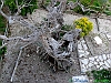 10-P1020033+