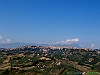 10-P9110831+