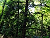 Rosello_photogallery/thumbs/20-P1012081+.jpg