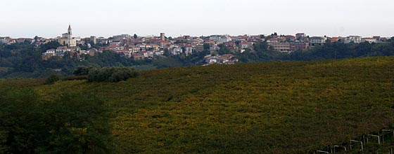 Tollo