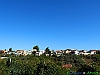 02-P9110688+