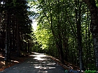 07+P5218927