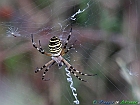 09+07-28-09_IMG_4256